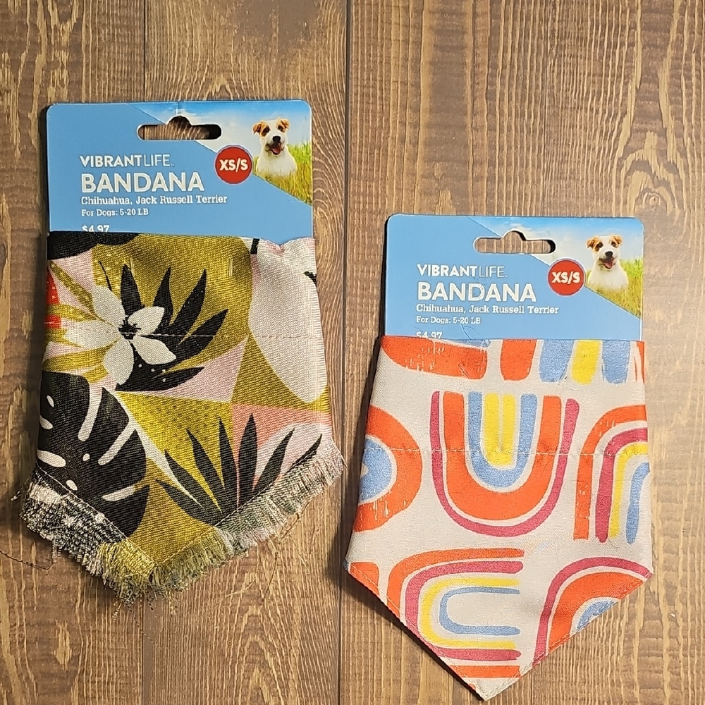 Vibrant Xs/S Dog Bandana